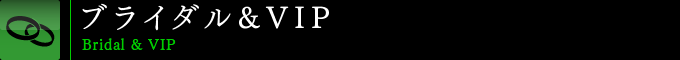 �u���C�_��&VIP